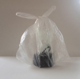 fguillemot - 